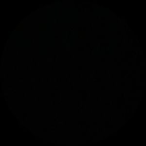 Meet your Posher, Ella